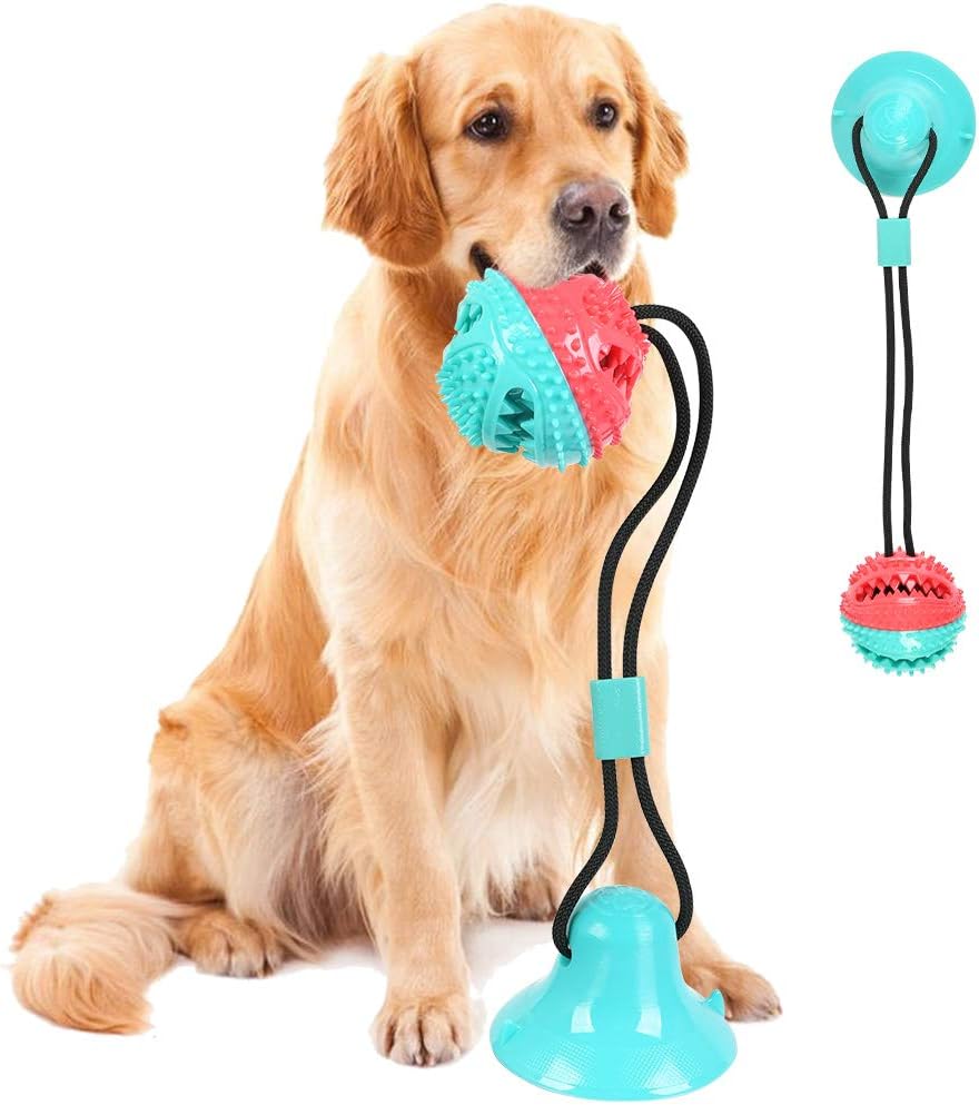Hundespielzeug mit Saugnäpfen