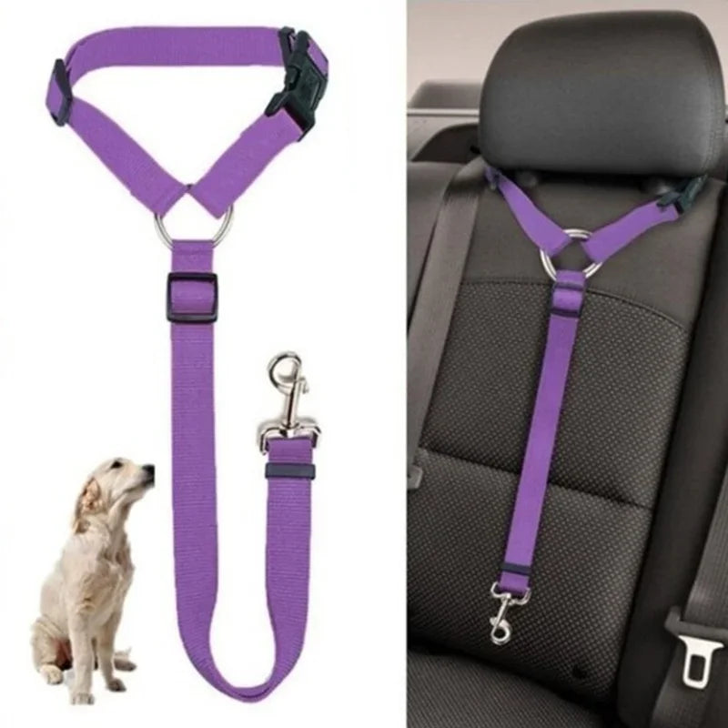 Sicherheitsgurt für Auto