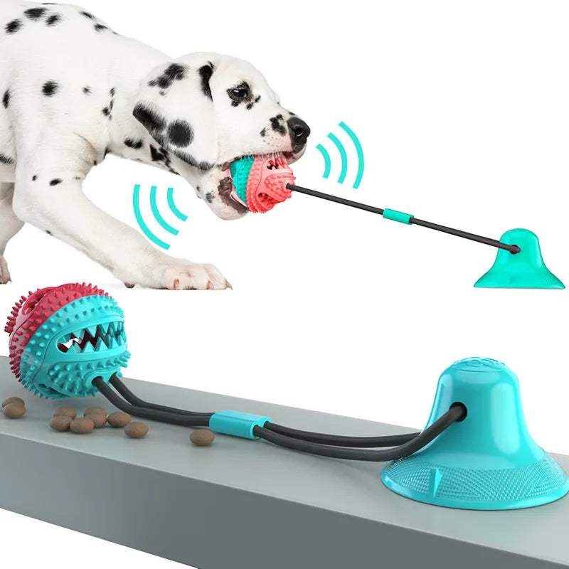Hundespielzeug mit Saugnäpfen