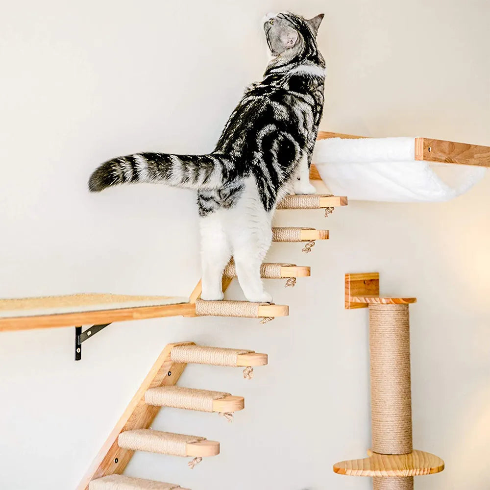 Kletterpark für Katzen verschiedene Module