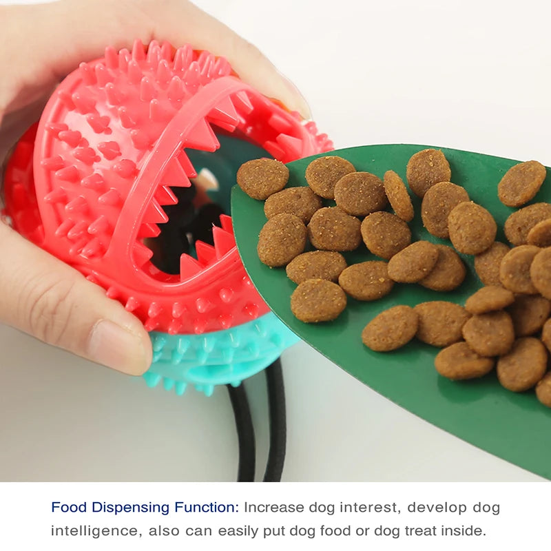 Hundespielzeug mit Saugnäpfen