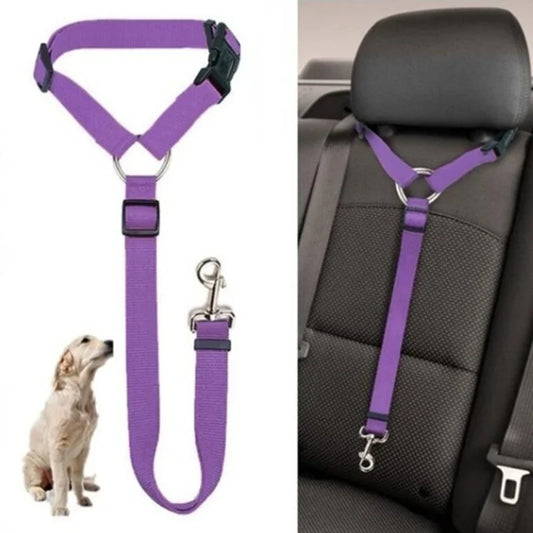 Sicherheitsgurt für Auto