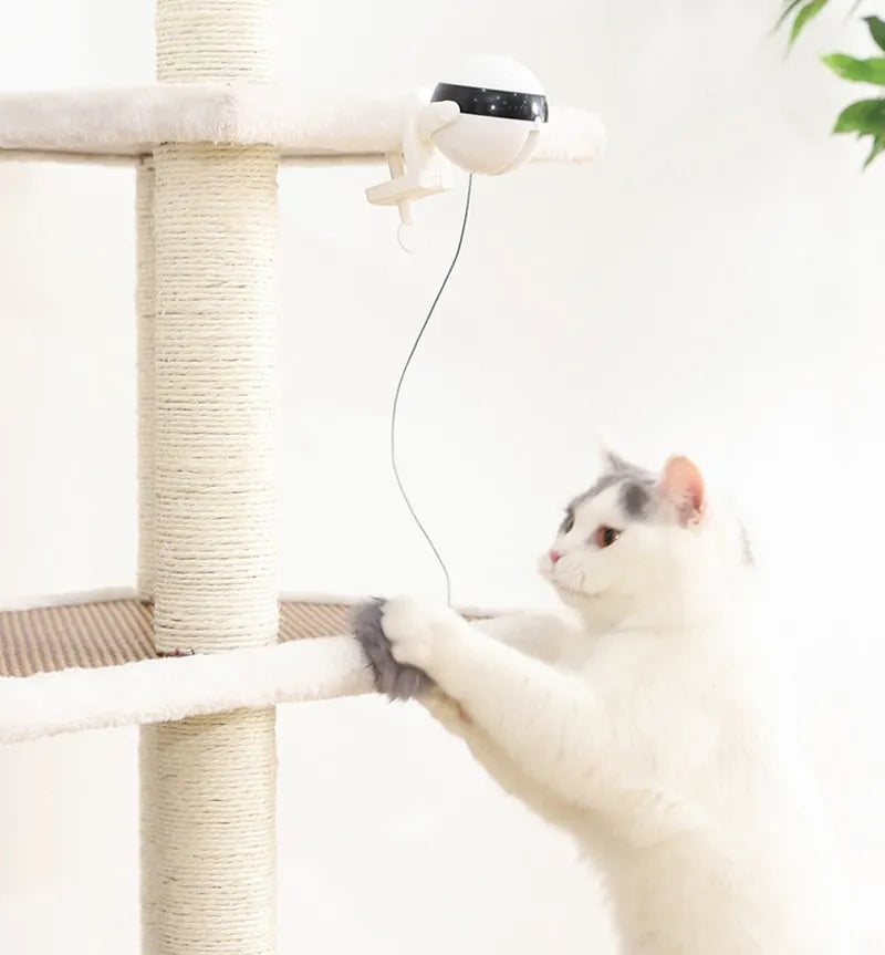 KittyChase: Aufregende Balljagd