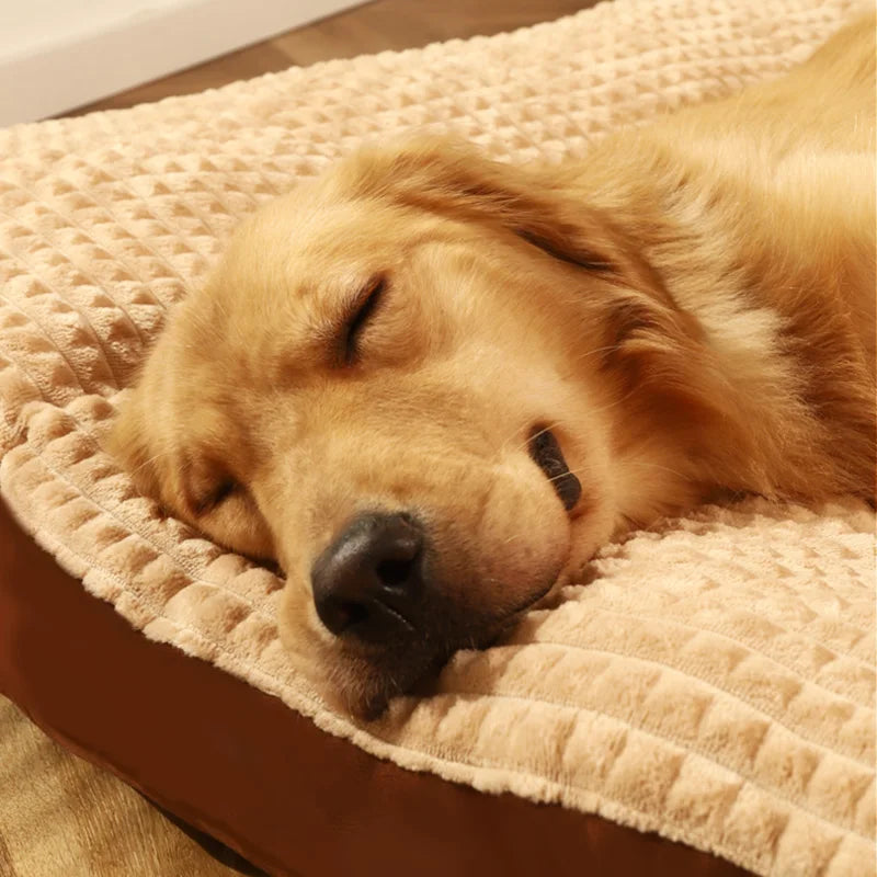 Deluxe Hunde Kuschelbett - LeLePet